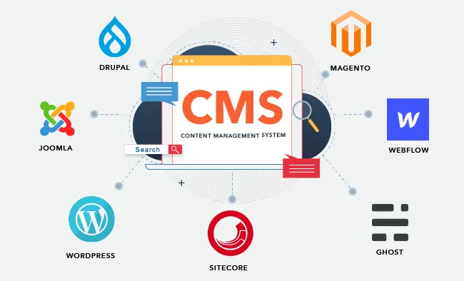 CMS Development Company in India